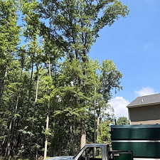 Multiple-Tree-Removals-in-Stevensville-MD 7